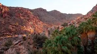 Немного длиннее, чем другие, но стоит наклонной тропы оазиса Fortynine Palms - трехмильный поход туда и обратно с Немного длиннее, чем другие, но стоит наклонной тропы оазиса Fortynine Palms - трехмильный поход туда и обратно с