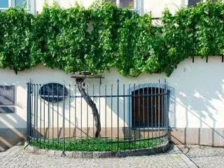 Это изображение может содержать дорожку у ворот, дорожку из плитняка и растение на открытом воздухе.