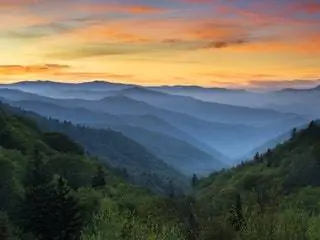 На изображении может находиться природа на улице гора горный хребет пихта пихта растения пейзажи и сельская местность