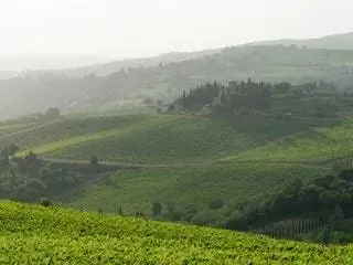 На изображении может находиться природа на улице сельская местность поле сельская ферма и луга