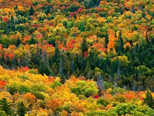 Лучшие осенние выходные