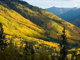 На изображении может находиться растение дерево пихта Abies хвойное дерево природа на открытом воздухе горы и горный хребет