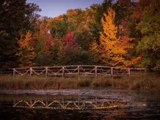 На изображении может находиться дерево растение вода природа на улице земля пихта Abies and Scenery