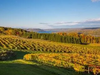 На изображении может находиться поле на улице луг природа сельская местность ферма луг сельская ель пихта и растение