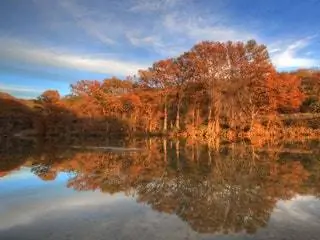 На изображении может находиться природа вода на улице земля дерево растения и пейзажи