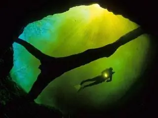 На изображении может находиться приключение Досуг Light Flare Зеленый силуэт Природа и на улице