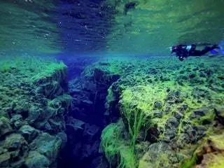 Это изображение может содержать Вода На открытом воздухе Природа Подводные водные животные Морская жизнь Морская жизнь Риф и океан