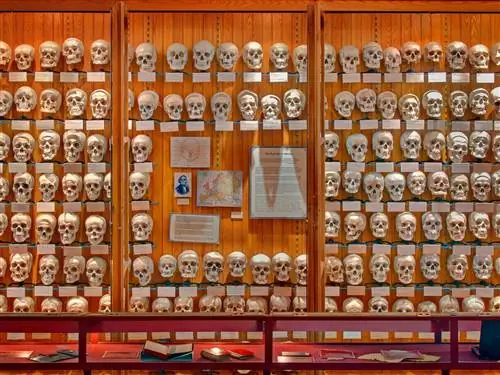 Изображение может содержать полку