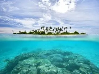 Это изображение может содержать На открытом воздухе Природа Земля Океан Море Вода Береговая линия Побережье Животные Морская жизнь Риф Пляж и остров
