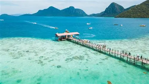 Год перерыва для взрослых