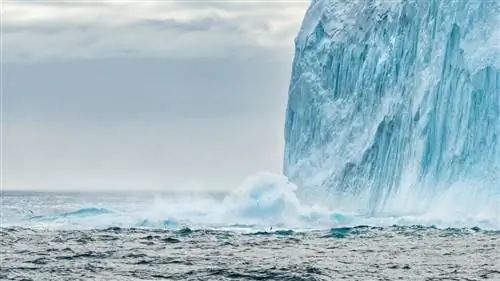 Почему одиночное путешествие в Антарктиду может быть лучшим способом ее увидеть