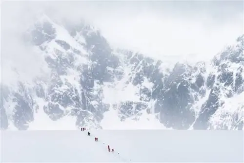 MS Roald Amundsen Hurtigruten Cruise Antarctica