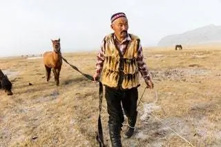 На этом изображении может находиться человек, животное, млекопитающее, лошадь, земля, на открытом воздухе, корова и крупный рогатый скот.