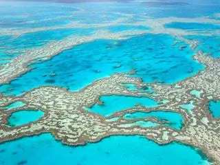 На изображении может находиться на открытом воздухе Природа Океан Вода Море Земля Береговая линия Пляж Побережье Животные Морская жизнь Риф и коралловый риф