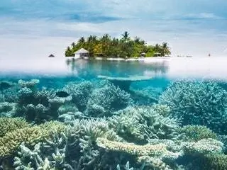 Это изображение может содержать На открытом воздухе Природа Океан Вода Море Земля Береговая линия Побережье Пляж Животные Риф Морская жизнь и остров