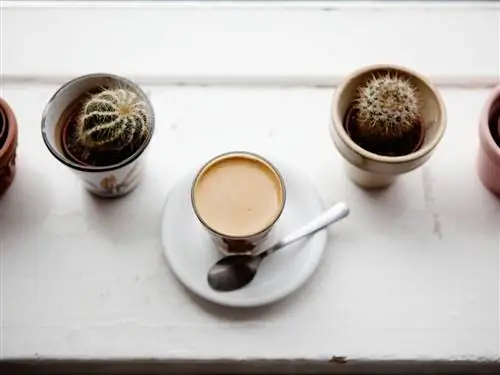 На изображении может находиться кофейная чашка, столовые приборы, ложка, блюдце, керамическая посуда, напиток, латте, напиток и эспрессо.