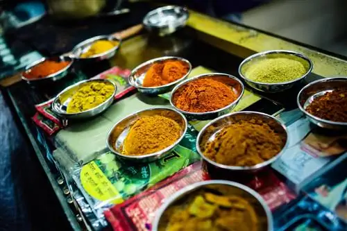 На изображении может находиться Spice Food Meal and Curry