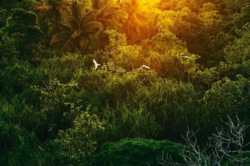 Журнал Cond Nast Traveler, декабрь 2019 г. Well Scale Up Tahiti