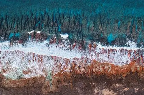 Журнал Cond Nast Traveler, декабрь 2019 г. Well Scale Up Tahiti