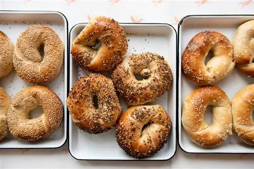 Бублик Спред Мелисса Веллер Герти