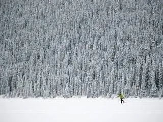 На изображении может находиться природа человек человек на улице дерево растение снег ковер пихта лес растительность и земля