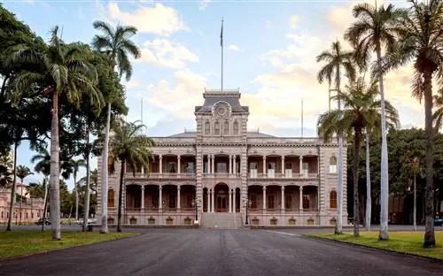 На изображении может находиться пальма Arecaceae Tree Plant Campus Architecture Building Urban Tarmac Asph alt City and Town