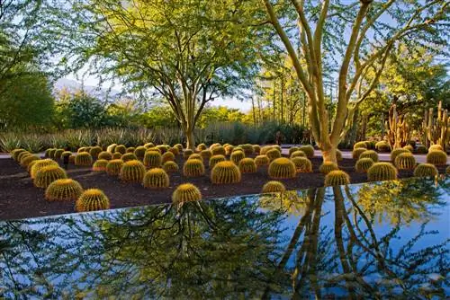 Саннилендс Центр Гарденс Ранчо Мираж