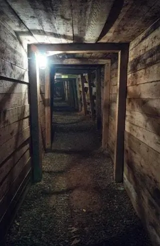 тростниковый золотой рудник