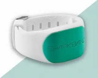 Изображение может содержать ленту