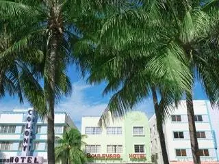 На изображении может находиться Summer Arecaceae Palm Tree Растение на открытом воздухе Сад и беседка