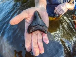 Изображение может содержать палец человека и руку