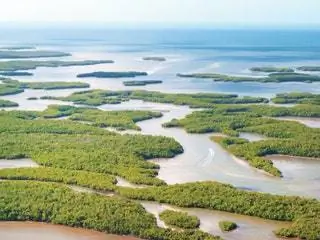 Это изображение может содержать Растительность Растение Дерево На открытом воздухе Природа Земля Тропический лес Джунгли Вода Пейзаж и береговая линия