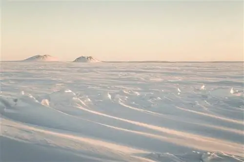 Канадская достопримечательность Пинго