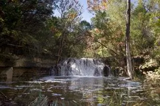 Пешеходная тропа Wild Basin Wilderness Preserve Austin