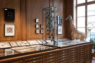 Дейролл Париж Интерьер