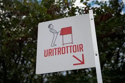 ПАрис писсуары