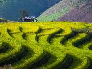 На изображении может находиться мебель и скамья Labyrinth Maze