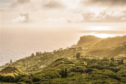 Журнал Cond Nast Traveler, июль 2019 г. Круиз Beyond this Horizon Silversea
