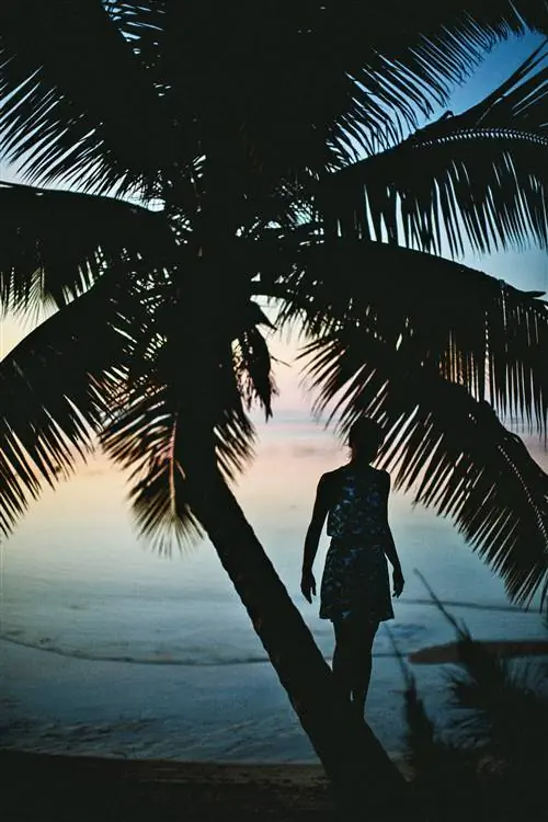 Журнал Cond Nast Traveler, июль 2019 г. Круиз Beyond this Horizon Silversea