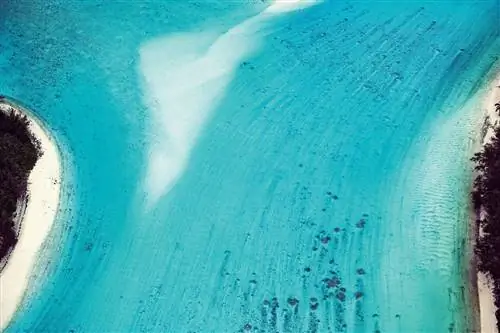 Журнал Cond Nast Traveler, июль 2019 г. Круиз Beyond this Horizon Silversea
