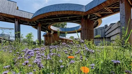 От парижской Promenade Plantée до High Line в Нью-Йорке: лучшие в мире надземные парки