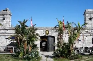 Bermuda Bar The Frog Onion