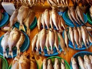 На изображении может находиться животное рыба сельдь морская жизнь и сардина