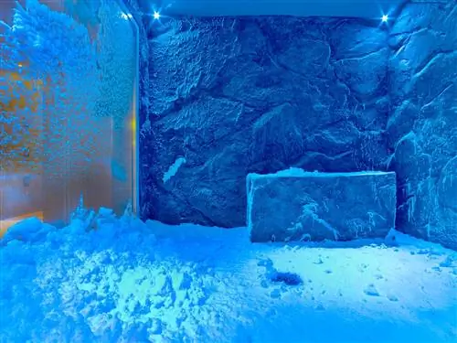 Это изображение может содержать Природа На открытом воздухе Вода Животные Морская жизнь Океан Риф и снег