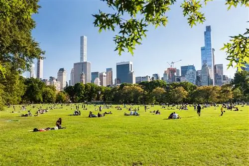 Центральный парк Нью-Йорка