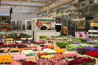 Это изображение может содержать человека. Рынок растений. Продуктовый магазин. Магазин.