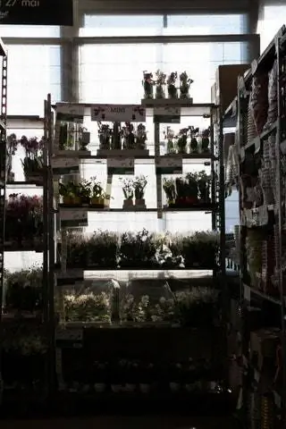 Это изображение может содержать полку и растение