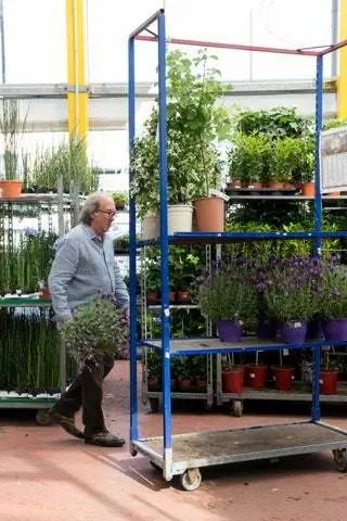 На изображении может находиться человек на улице сад растение в горшке ваза растение глиняная банка одежда одежда и беседка