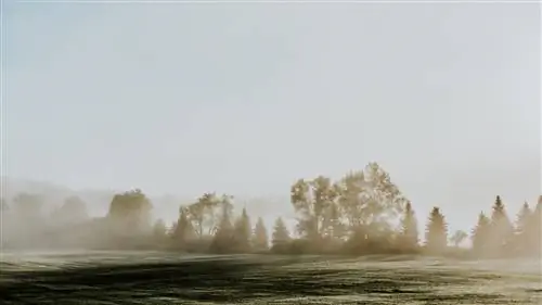 Посмотрите на осеннюю листву Вермонта в этих 15 красивых местах