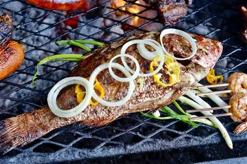 Рокхаус с тележкой